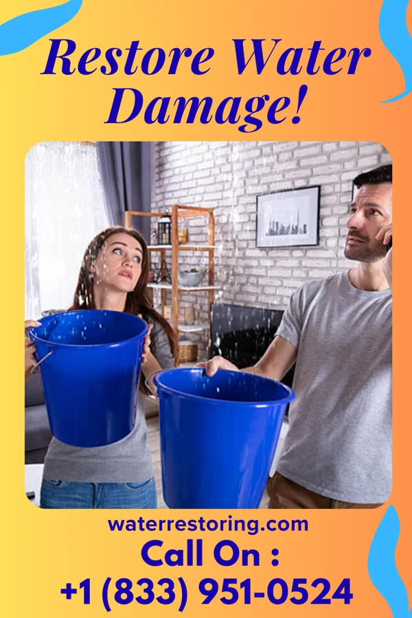 water restoration Total Water Solutions Brothers Newington